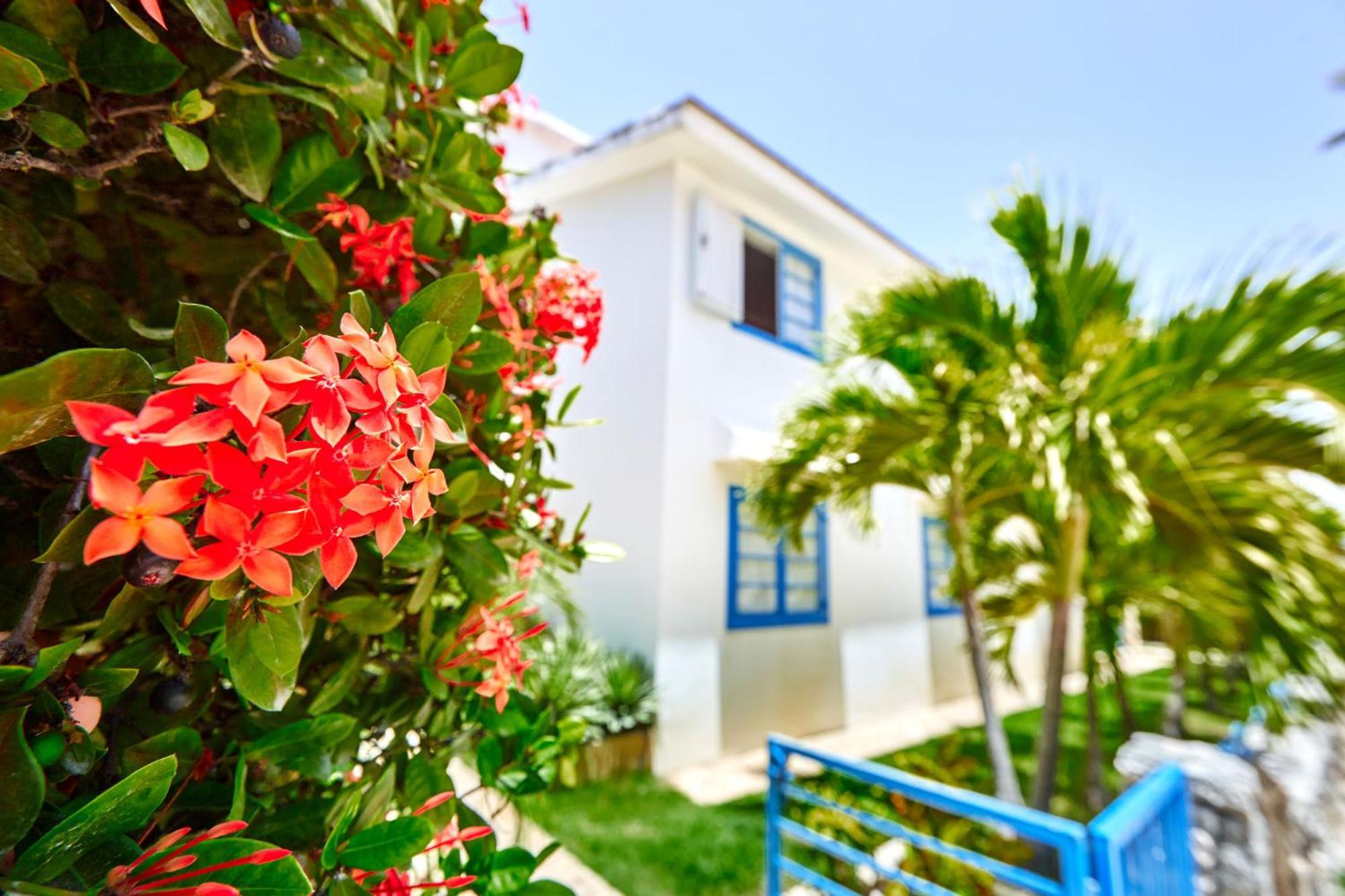 La Flor Del Caribe Beach & Spa Punta Cana Quarto foto