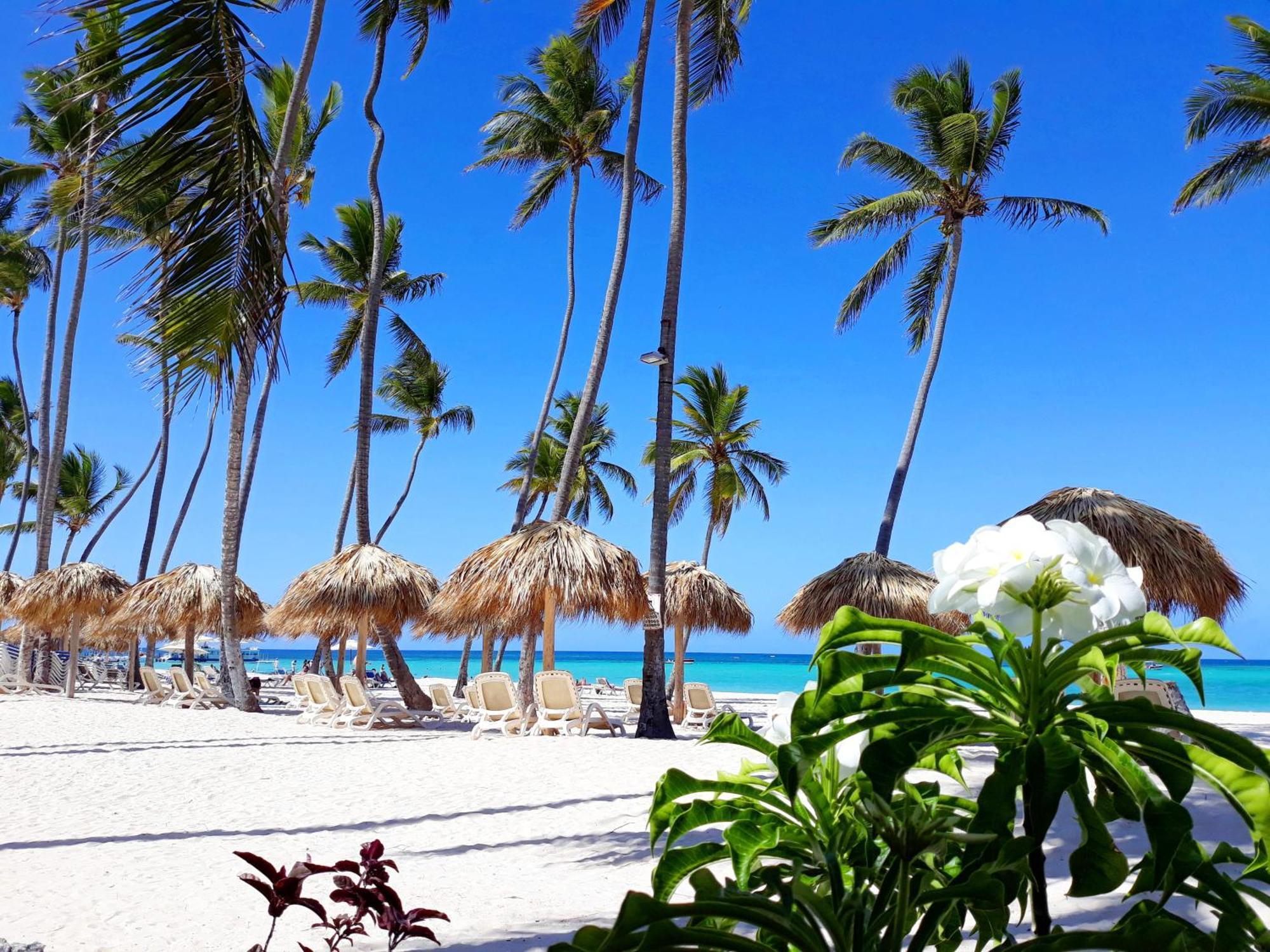 La Flor Del Caribe Beach & Spa Punta Cana Quarto foto